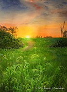 "Симфония рассвета". Акварель. 40*50